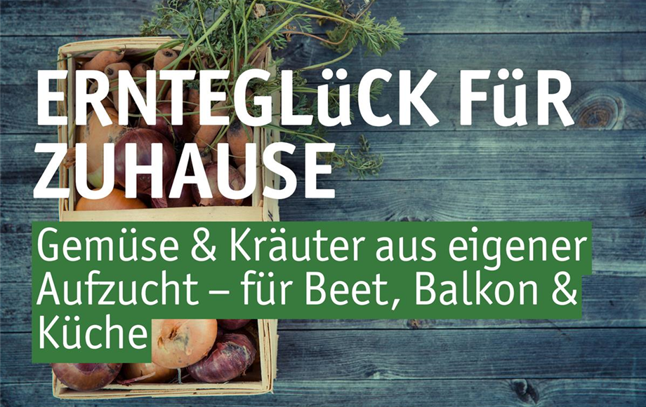 Titelbild Newsletter Gemüse und Kräuter.jpeg Titelbild Newsletter Gemüse und Kräuter.jpeg