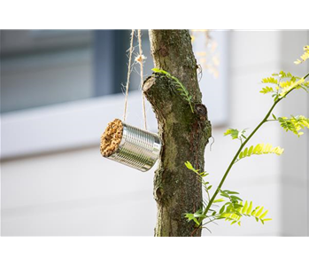 WIE GEHT... INSEKTENHOTEL?