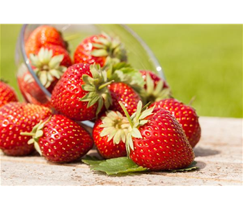 GESUND NASCHEN AUF DEM BALKON!